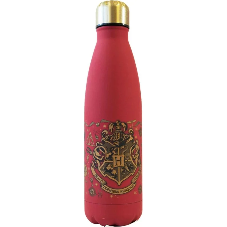 Bidon ze stali nierdzewnej 500 ml Harry Potter