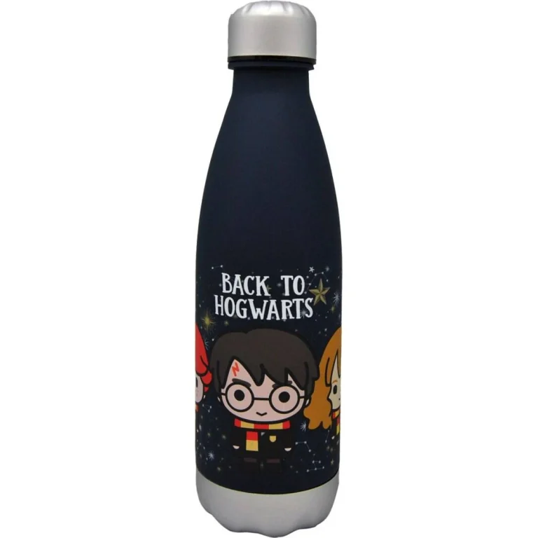 Butelka 650 ml Harry Potter