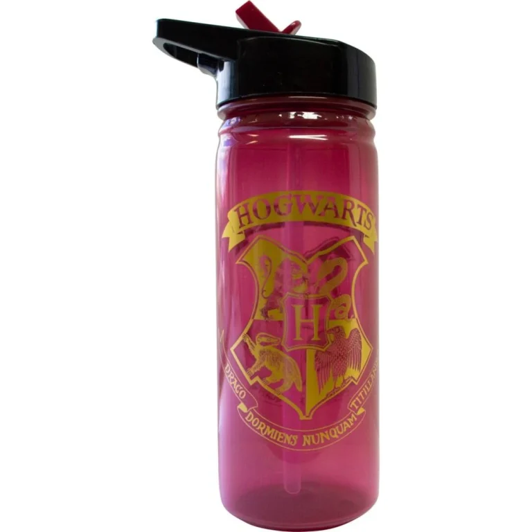 Bidon 600 ml PP Harry Potter